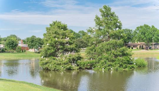 Cypress, Texas.